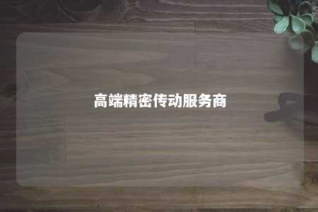 高端精密传动服务商 